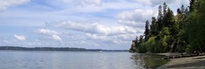Tolmie on the Salish